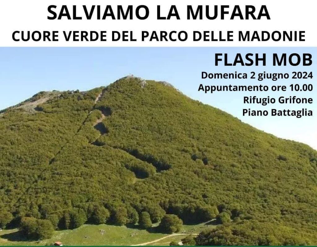 Salviamo la Mufara cuore verde del Parco delle Madonie: flash mob a Piano Battaglia