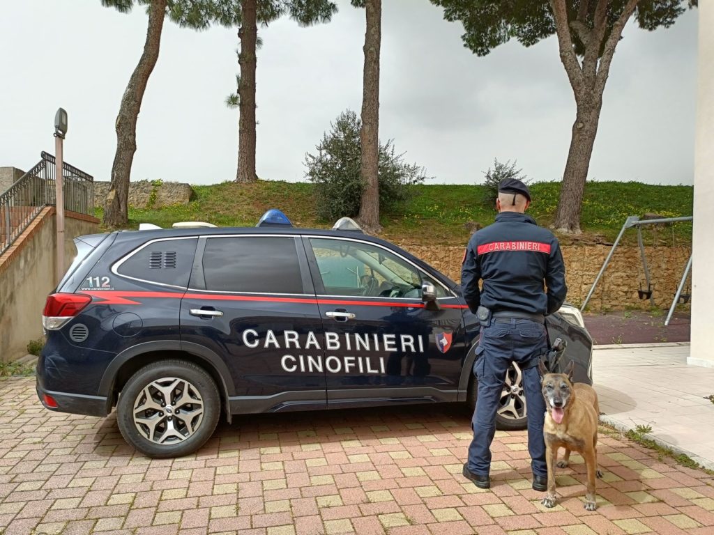 I Carabinieri chiudono un canile abusivo