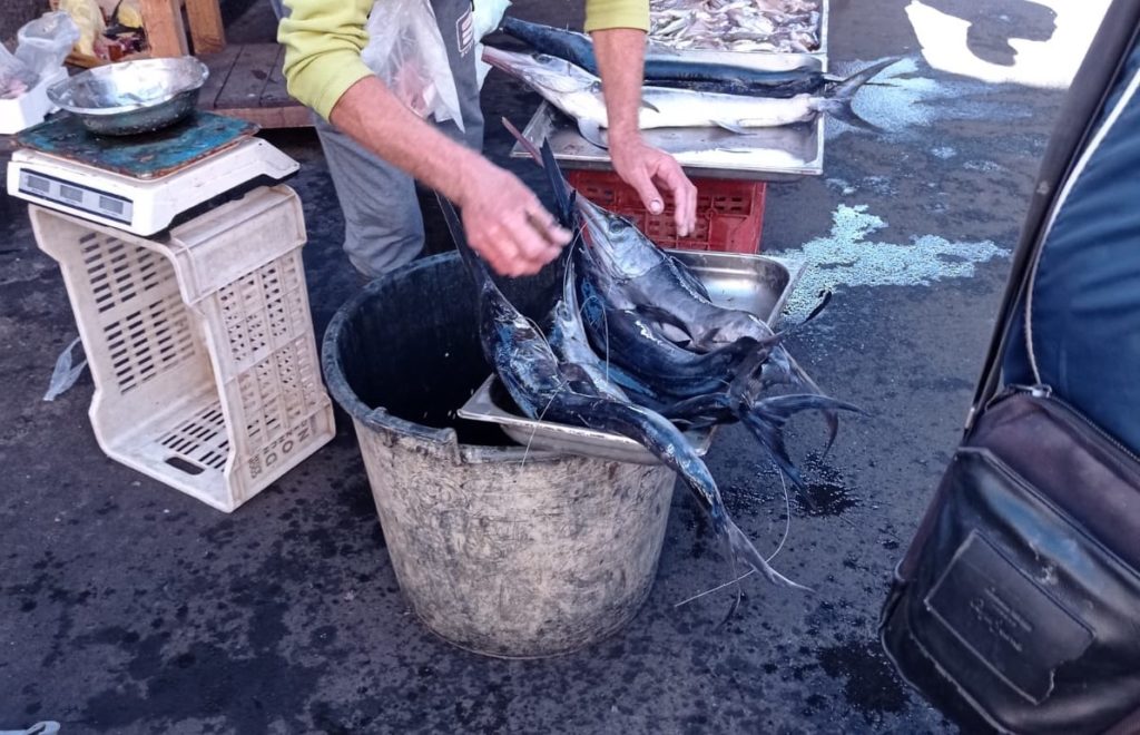 Pesca illegale in Sicilia e Calabria – la commissione europea: tolleranza zero