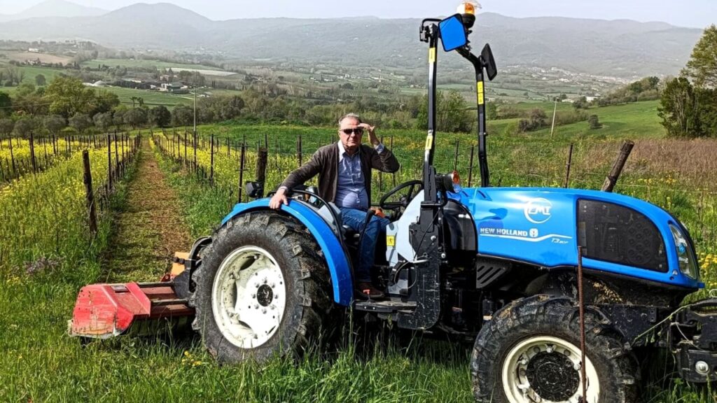 Uve rare del casertano: un progetto di valorizzazione