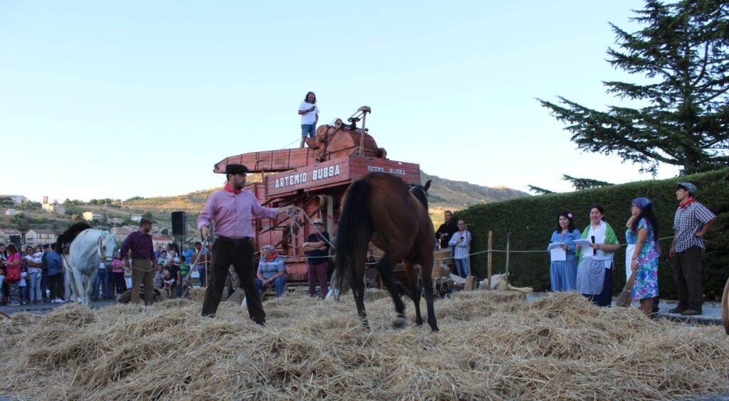 Sagra del Grano a Pianello