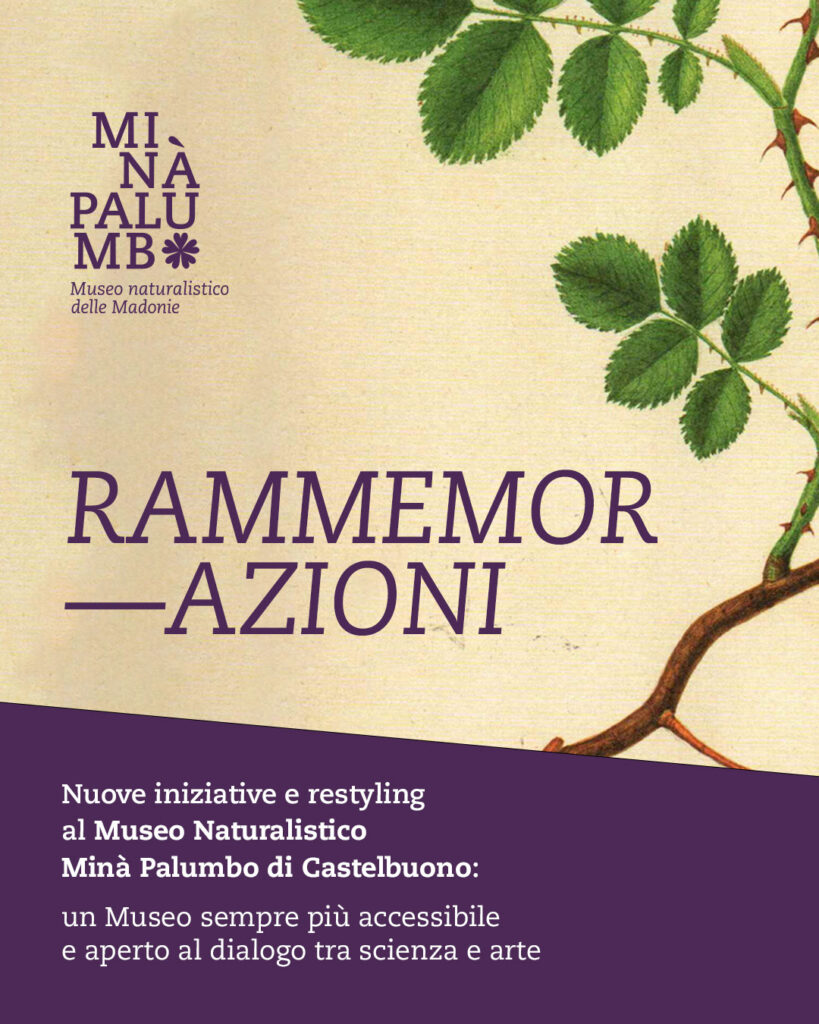 Museo Naturalistico Minà Palumbo. Nuove iniziative e restyling