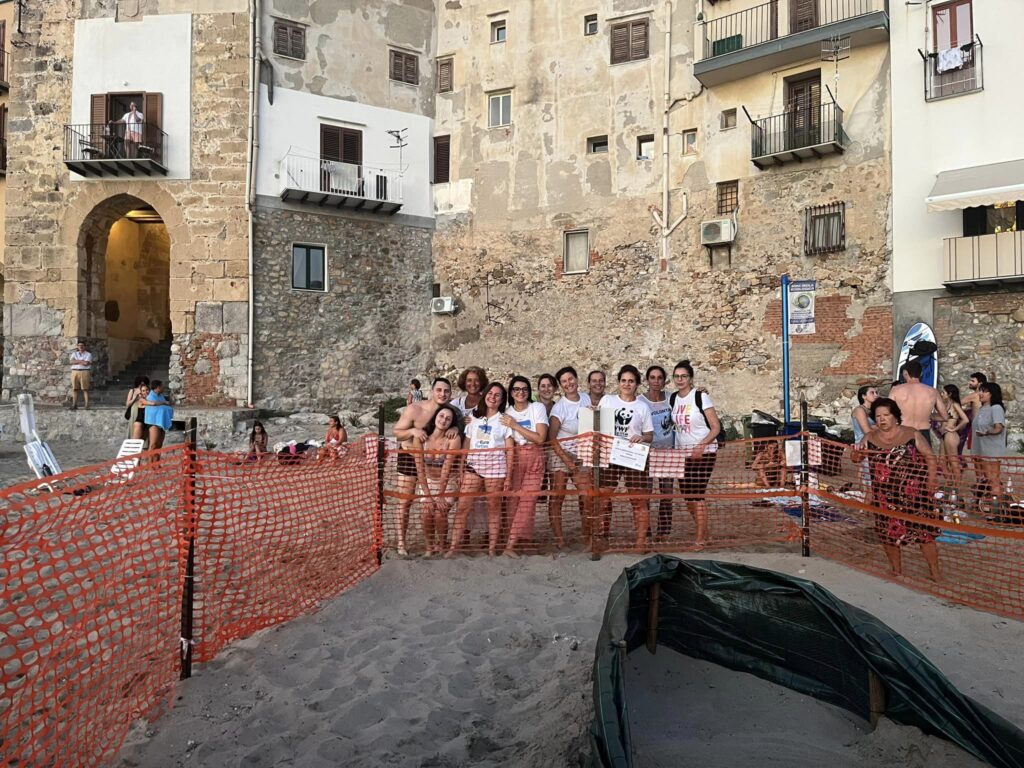 Molo Cefalù. Aspettando le piccole caretta caretta