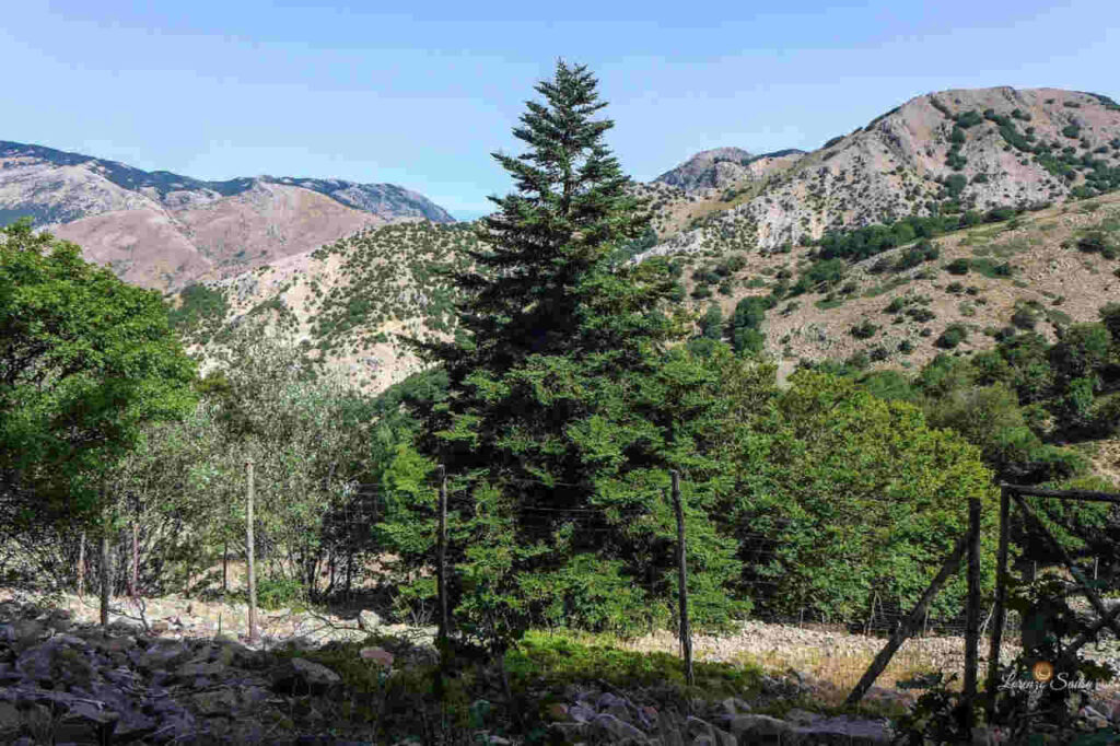 Parco delle Madonie, convenzione con Facoltà di Architettura