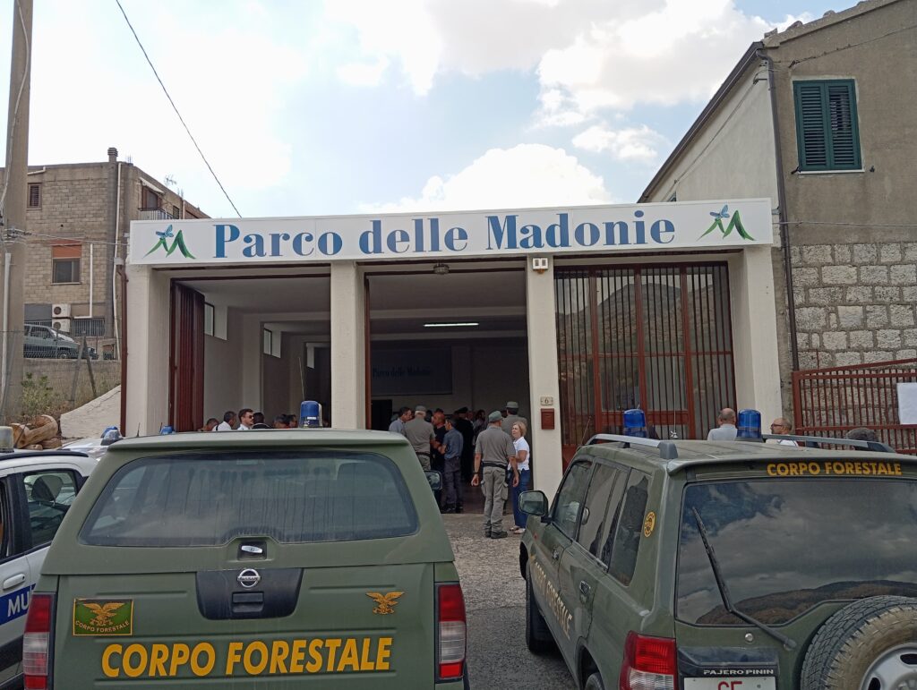Fauna selvatica, l’Ente Parco delle Madonie convoca vertice operativo