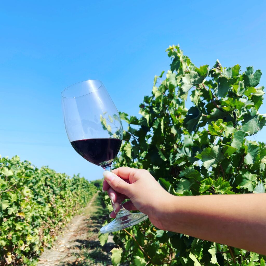 I Nas Carabinieri scoprono due aziende vinicole abusive