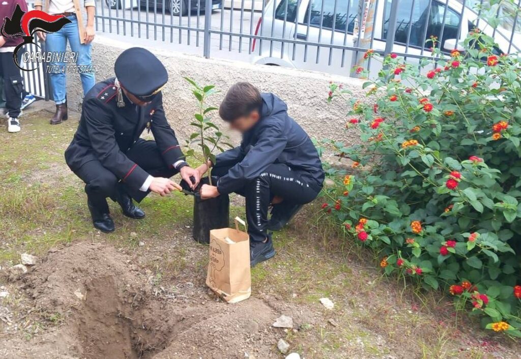 Giornata Nazionale degli Alberi. I Carabinieri Forestali del Centro Anticrimine Natura di Palermo donano 60 piante a due istituti scolastici della città di Palermo