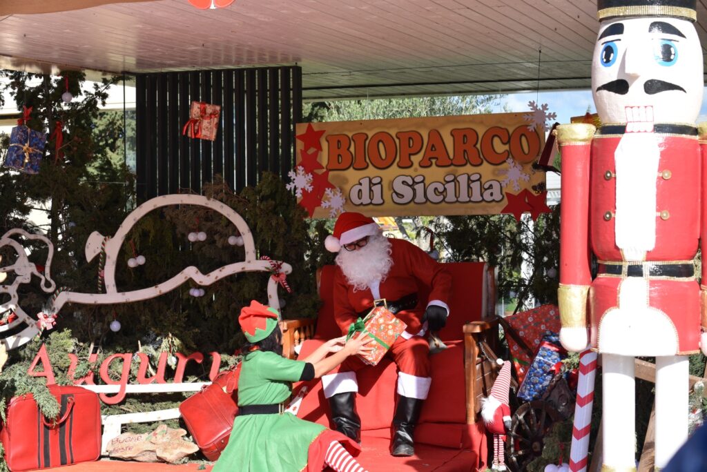 Babbo Natale, elfi e un bosco incantato: il villaggio natalizio al Bioparco di Sicilia, dove anche gli animali ricevono i regali