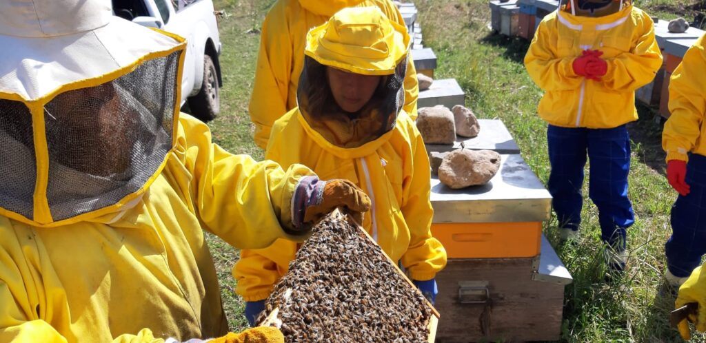 L’Ape Maurina, un progetto di sostenibilità e formazione a San Mauro Castelverde