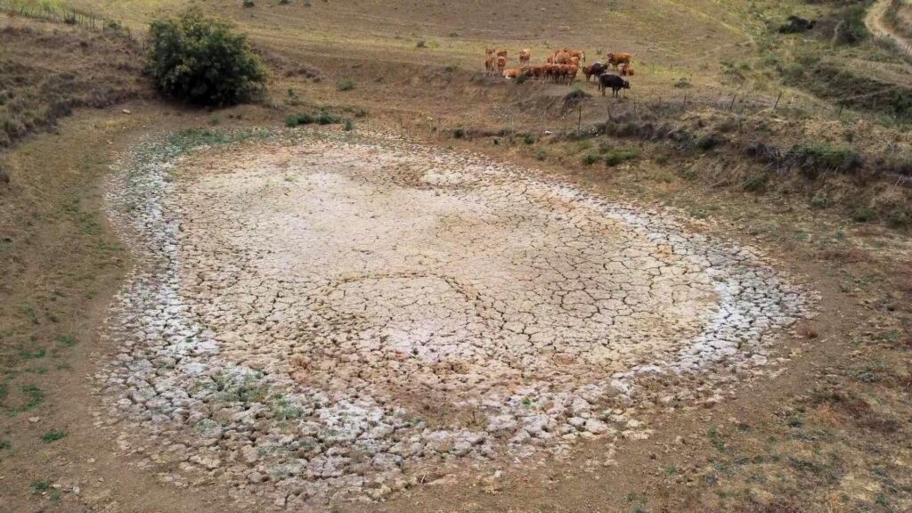 Siccità, 100 milioni per interventi in agricoltura. Schifani: «Aiuto concreto a settore duramente colpito dalla crisi»