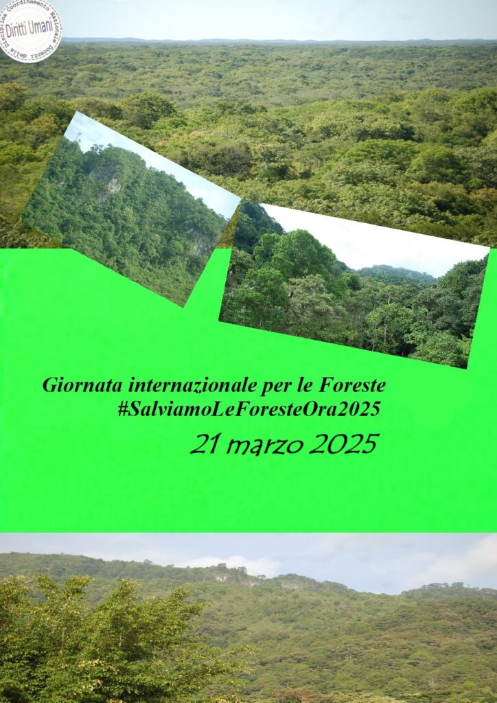 Giornata Internazionale delle Foreste