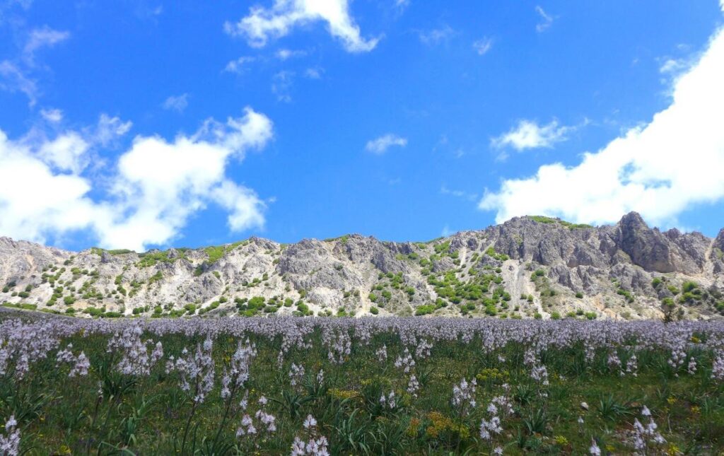 Petralia Sottana, iniziative  nell’ambito delle Scienze Geologiche