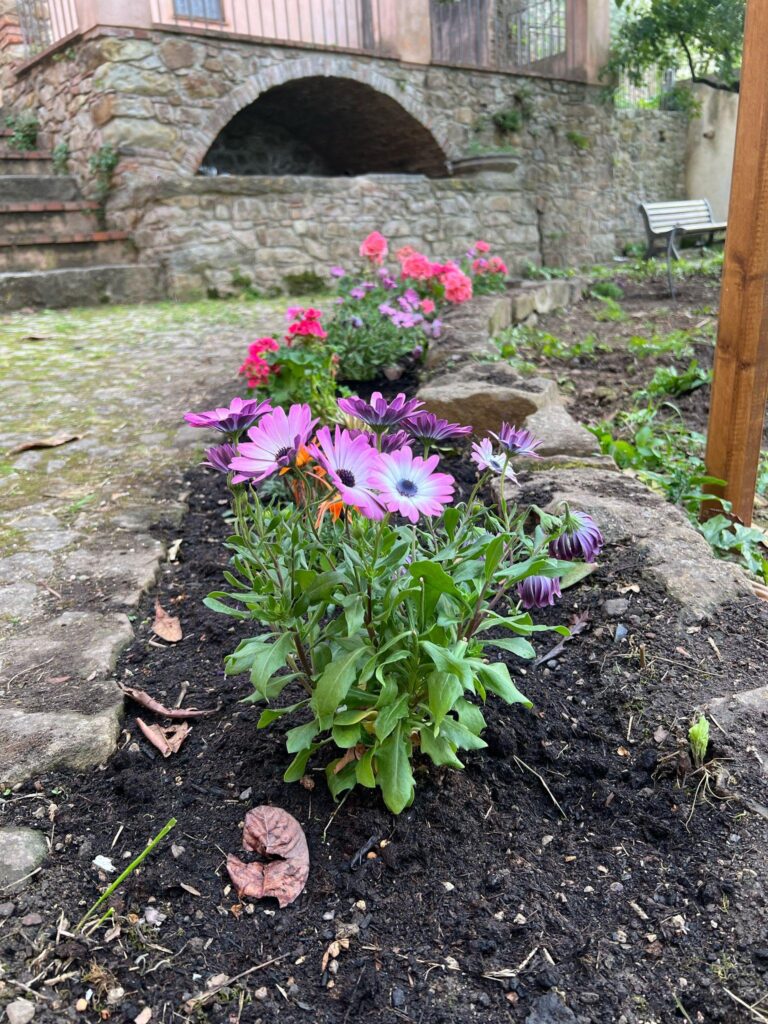Il giardino di Palazzo Failla rinasce a nuova vita grazie all’impegno dei giovani castelbuonesi