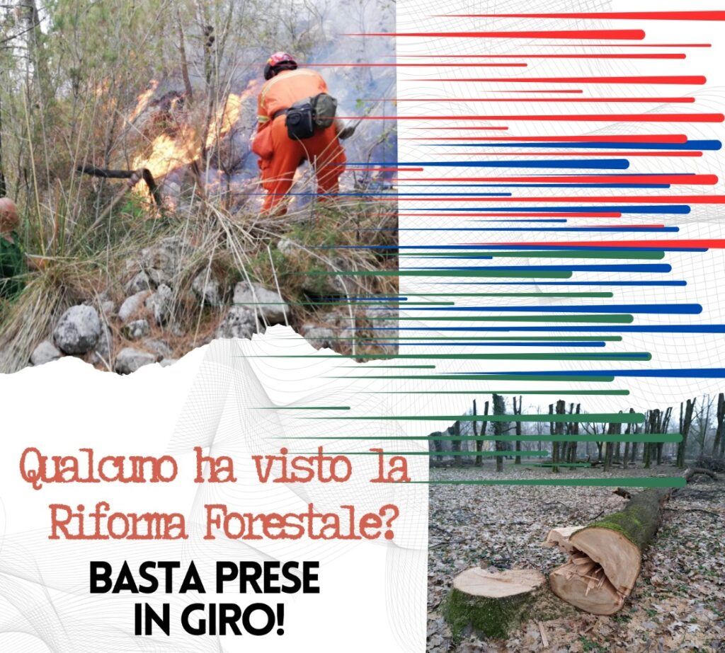 Manifestazione forestali domani a Palermo