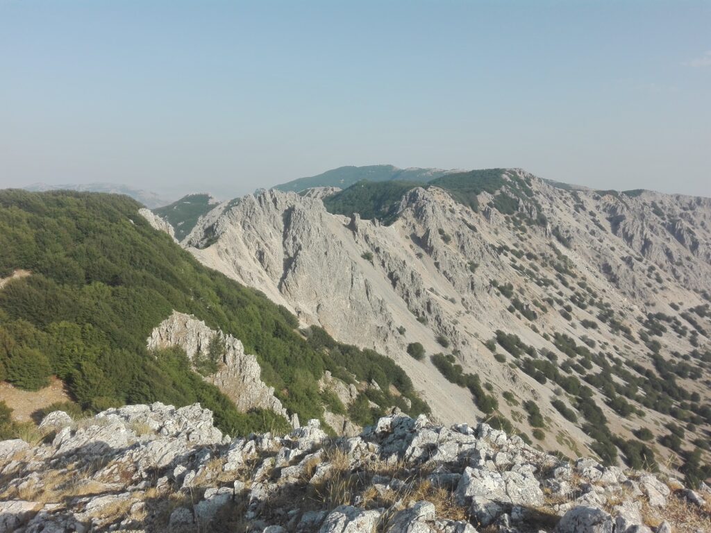 “GIORNATA ECOLOGICA DI PRIMAVERA” – UNA INIZIATIVA PER LA TUTELA DELL’AMBIENTE E LA SENSIBILIZZAZIONE ALLA BIODIVERSITÀ NEL PARCO DELLE MADONIE