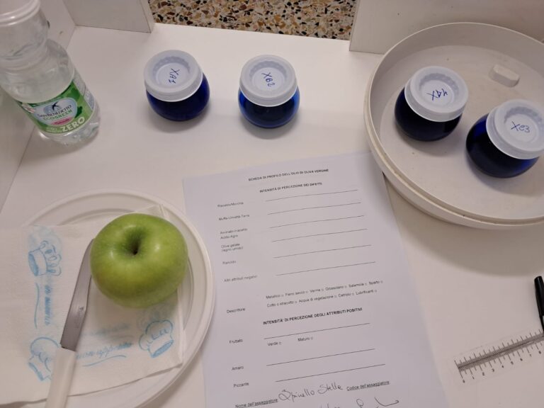 L’eccellenza dell’olio siciliano al “Premio nazionale Ercole Olivario 2025”