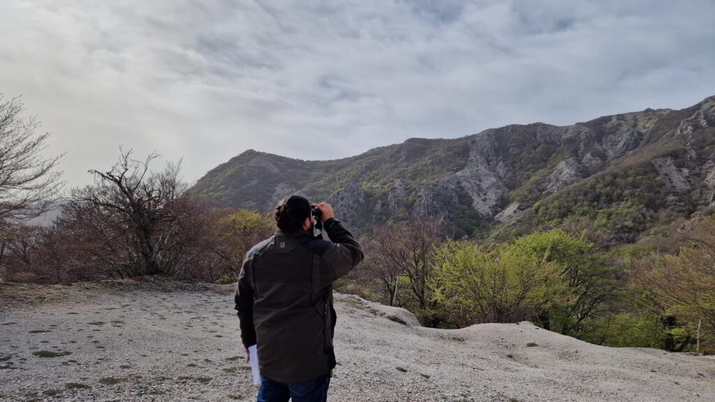 Fauna selvatica nel Parco delle Madonie, primi dati. Numeri in calo, ripartite le operazioni di controllo suidi