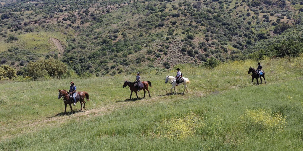 Ambiente, 119 nuovi siti per la raccolta di materiale forestale in Sicilia. Savarino: «Preserviamo la biodiversità dei nostri boschi»