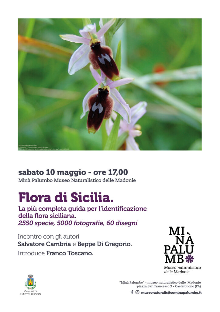 Museo Naturalistico. Flora di Sicilia, guida completa