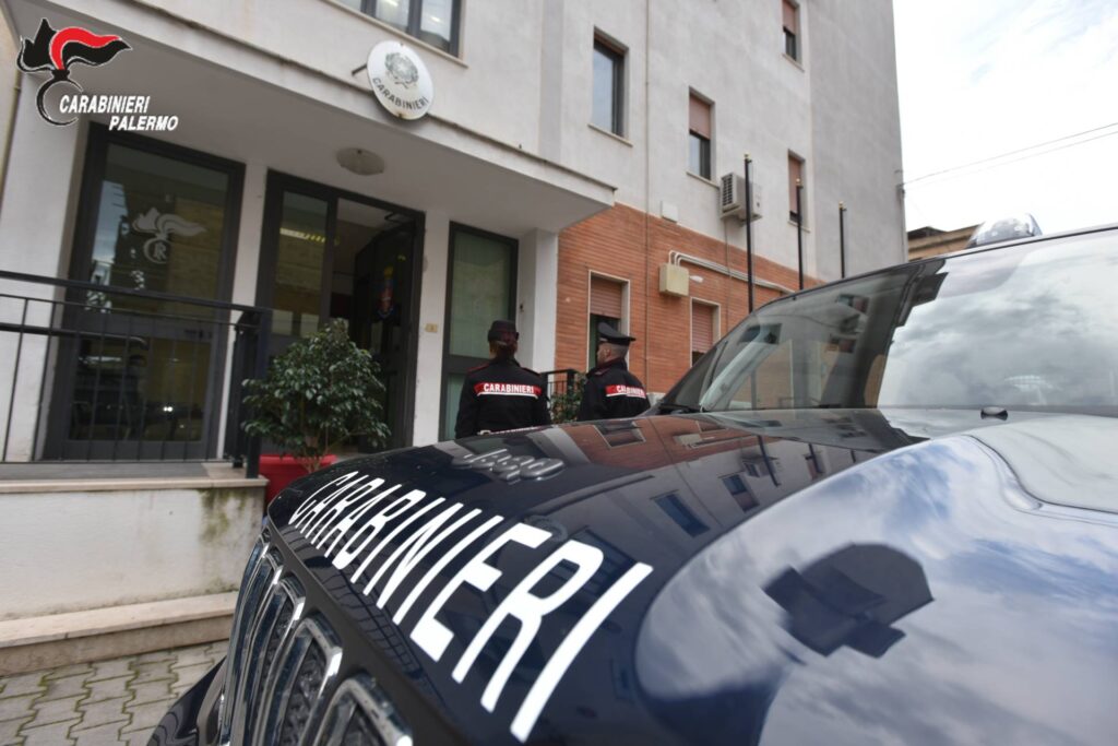I Carabinieri di Mezzojuso sequestrano tartarughe detenute illegalmente
