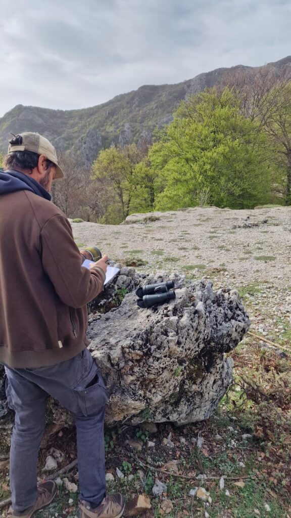 Piano Daini, in arrivo le mappe degli interventi nel Parco delle Madonie