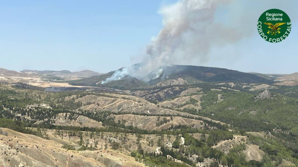 Corpo forestale e Protezione civile: solo oggi 83 incendi