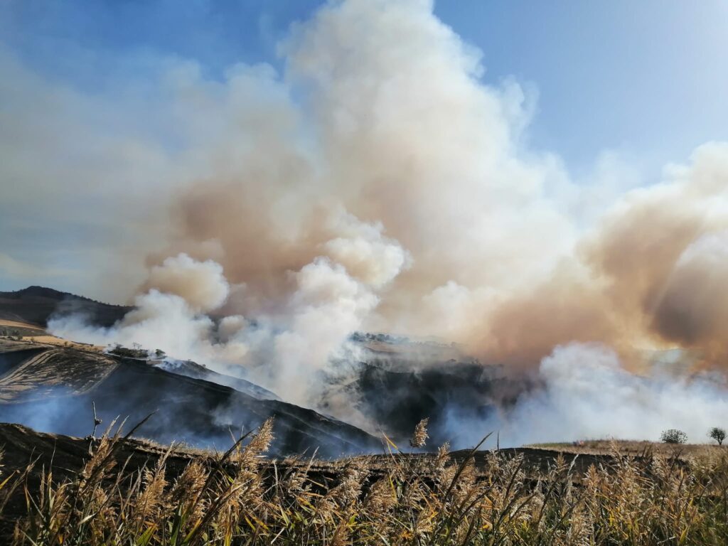 La Polizia arresta un diciassettenne indagato per i vasti incendi nella provincia di Palermo negli anni scorsi