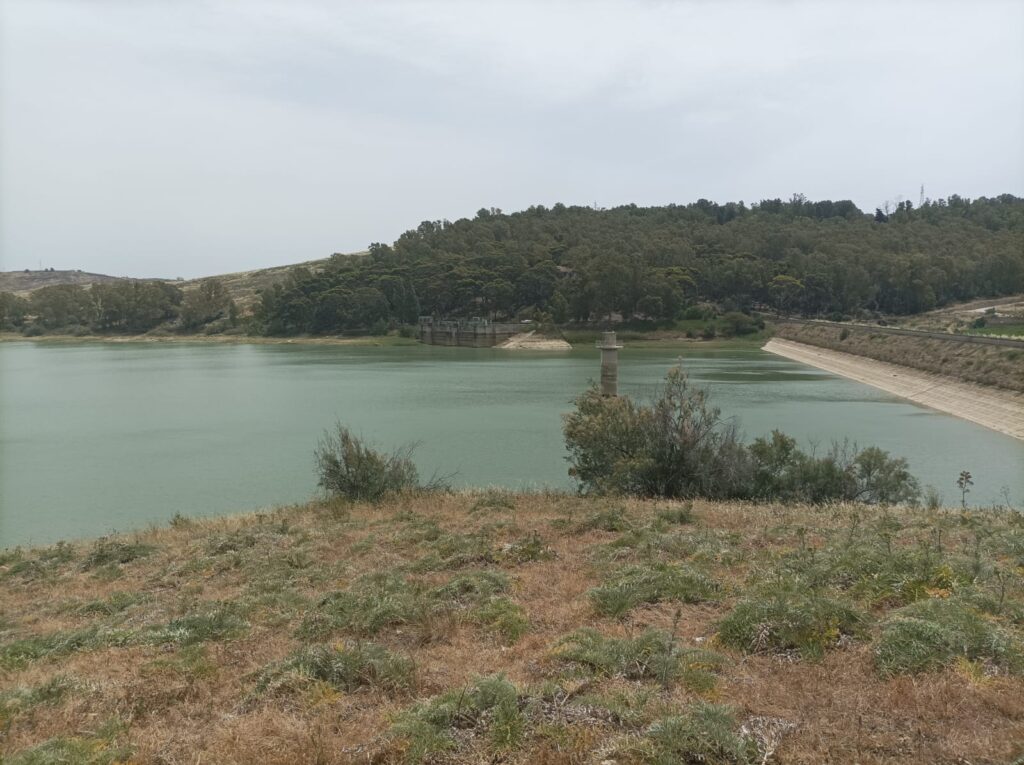 Dighe a secco e acqua razionata:Cia Sicilia Occidentale: servono misure urgenti e ristori veri per le aziende agricole