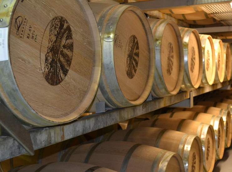 Migliori vini della Campania - Fonte Pixabay wineANDventure - madonielive.com