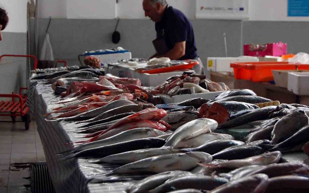 pesce contaminato in Italia
