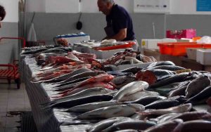 pesce contaminato in Italia