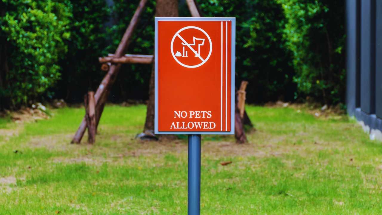 No pets