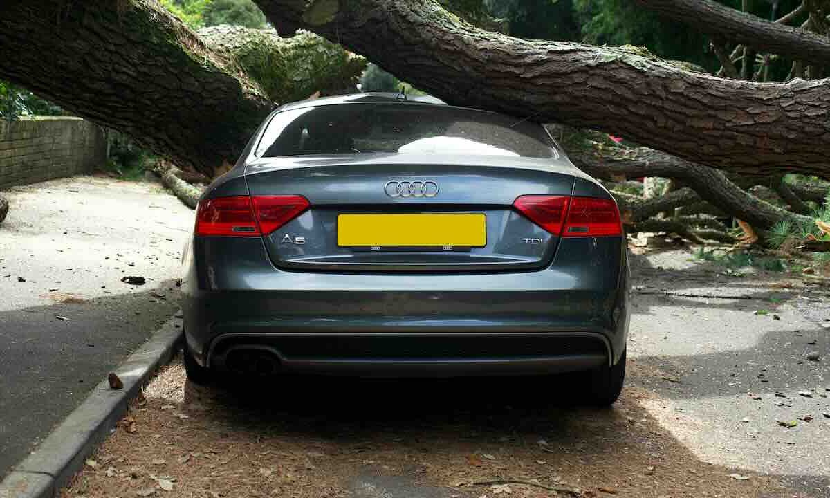 Auto incidentata - Madonielive