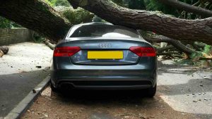 Auto incidentata - Madonielive